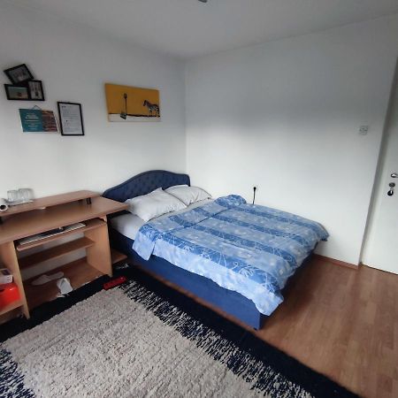 Cozy Room With A Balcony Σαράγεβο Εξωτερικό φωτογραφία